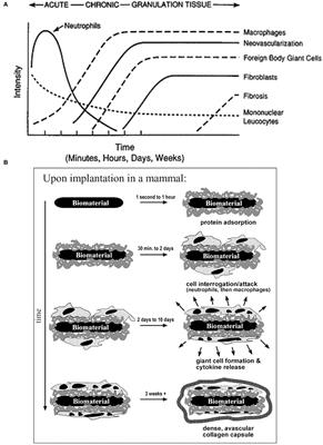 A Review: Electrode and Packaging Materials for Neurophysiology Recording Implants